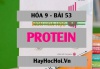 Hóa học của protein, trạng thái tự nhiên, thành phần và ứng dụng của protein - Hóa học 9 Bài 53