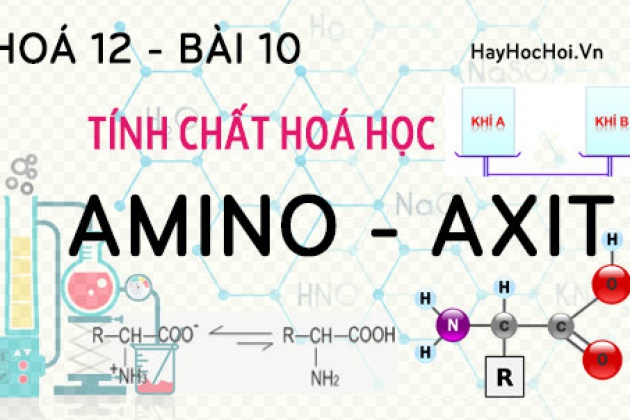 Amino Axit tính chất hoá học, công thức cấu tạo và bài tập về ...