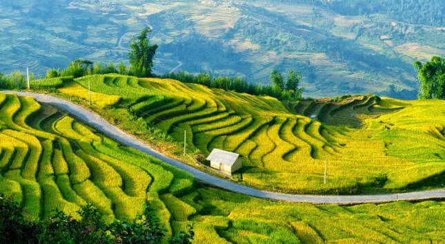 Sapa Lao Cai province