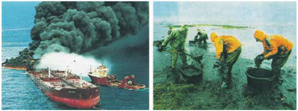 Ô nhiễm dầu trên biển