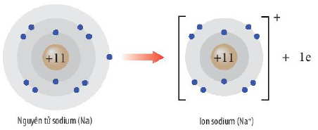 Sự hình thành ion dương Na+ Hóa học 10 bài 8