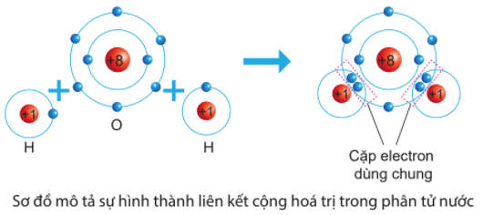 Sự hình thành liên kết cộng hóa trị trong phân tử nước H2O