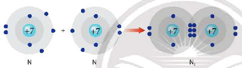 Sự hình thành liên kết trong phân tử nitơ (N2)