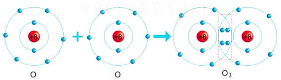 Sự hình thành liên kết trong phân tử Oxygen O2