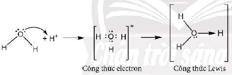 Sự tạo thành liên kết cho - nhận trong ion hydronium H3O+