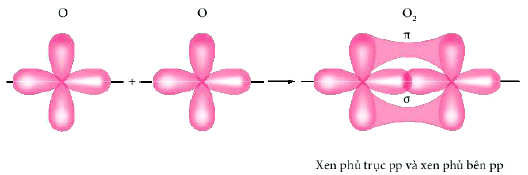 Sự xen phủ các AO hình thành liên kết σ và liên kết π trong phân tử oxygen