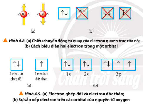 Biểu diễn và cách sắp xếp các electron trong obitan Hóa 10 bài 4