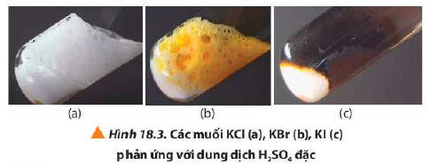 Các muối KCl, KBr, KI phản ứng với H2SO4 đặc 10 post 18