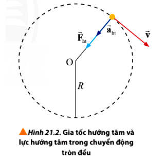 Gia tốc hướng tâm và lực hướng tâm trong chuyển động tròn