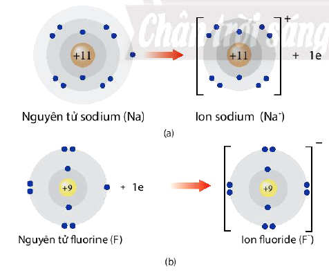 Quá trình tặng electron của nguyên tử Natri và flo
