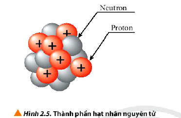 Thành phần hạt nhân nguyên tử