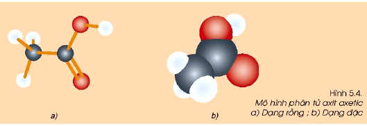 Mô hình phân tử axit axetic CH3COOH