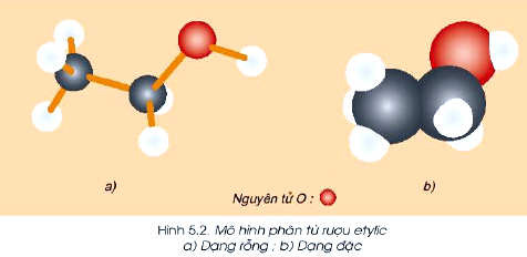 Mô hình phân tử rượu Etylic C2H5OH