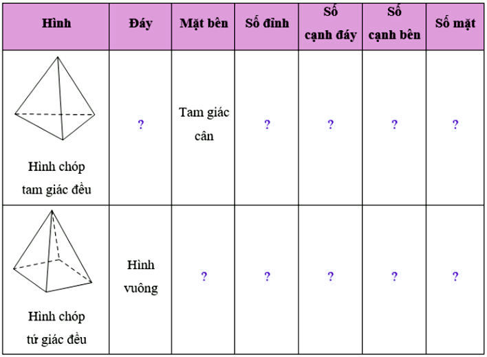 Bài 1 trang 46 Toán 8 Tập 1 SGK Chân trời sáng tạo