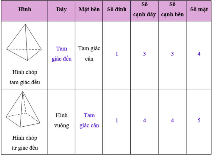 Giải bài 1 trang 46 Toán 8 Tập 1 SGK Chân trời sáng tạo