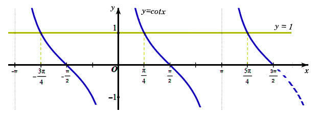 Đồ thị hàm số y = cotx