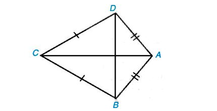 Giả bài 3.3 trang 51 Toán 8 Tập 1 Kết nối tri thức