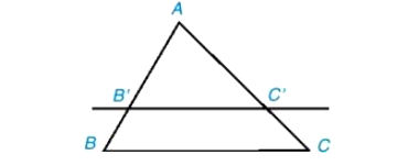 Định lí thales trong tam giác