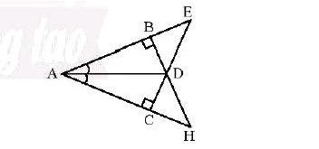 Vận dụng chứng minh các tam giác Vuông bằng nhau