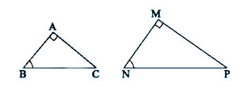 Các trường hợp đồng dạng của tam giác vuông (1 góc nhọn)