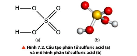 Cấu tạo phân tử của sulfuric acid H2SO4