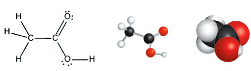 acetic acid đặc điểm mô hình phân tử và tính chất