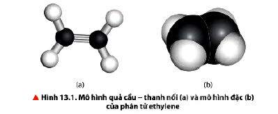 Đặc điểm phân tử ethylene