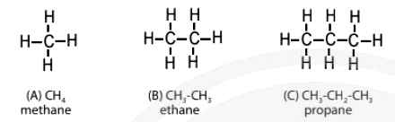 Dãy đồng đẳng của hợp chất hữu cơ alkane