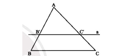 Định lí thales trong tam giác
