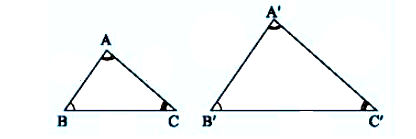 Tam giác đồng dạng