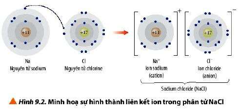 Hóa 10 trang 56 Chân trời sáng tạo: Câu hỏi 5