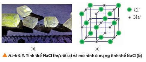 Hóa 10 trang 56 Chân trời sáng tạo: Câu hỏi 7