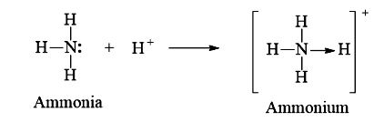 Liên kết cho – nhận trong ion NH4+