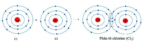 Phân tử Chlorine