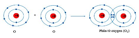 Phân tử Oxygen