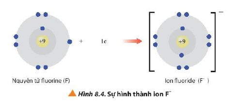 Sự hình thành ion F-