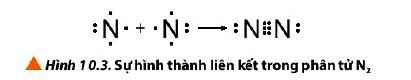 Sự hình thành liên kết trong phân tử N2