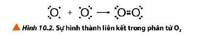 Sự hình thành liên kết trong phân tử O2