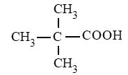 2,2 – dimethylpropanoic acid.