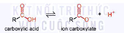 Carboxylic acid phân li không hoàn toàn