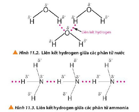 Hóa 10 trang 68 Chân trời sáng tạo: Câu hỏi 2