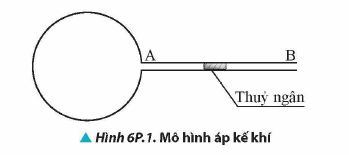 Bài 3 trang 47 Vật lí 12 Chân trời sáng tạo: