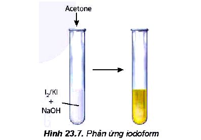 Hóa 11 trang 142 Kết nối tri thức: Hoạt động