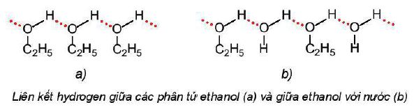 Liên kết hydrogen giữa các phân tử ethanol với nhau và với nước