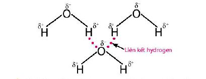 Liên kết hydrogen