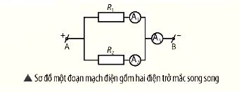 KHTN 9 trang 49 Chân trời sáng tạo: Luyện tập