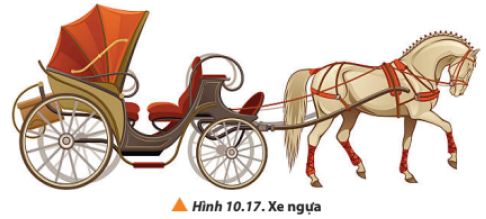 Vật Lí 10 trang 65 Chân trời sáng tạo: Luyện tập