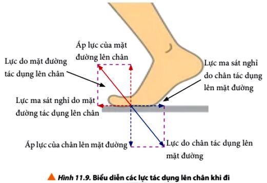 Vật Lí 10 trang 69 Chân trời sáng tạo: Luyện tập