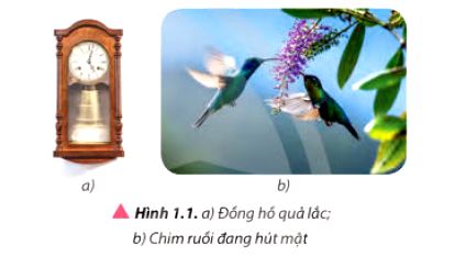 Vật Lí 11 trang 5 Chân trời sáng tạo: Mở đầu