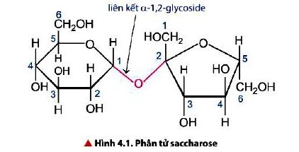 Thảo luận 1 trang 21 SGK Hóa 12 Chân trời sáng tạo